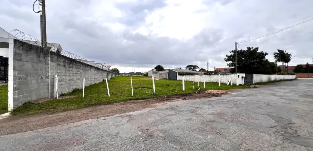 Terreno / Lote / Condomínio para alugar, 2005m² no Costeira, São José dos Pinhais