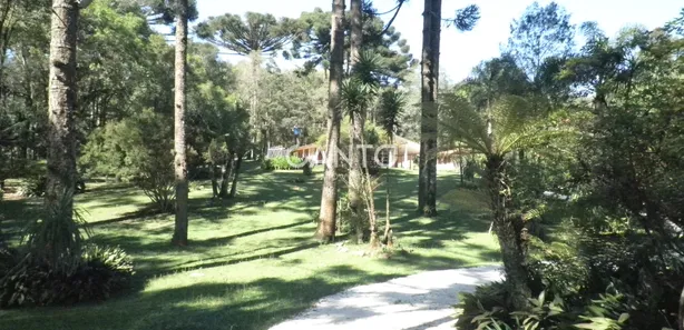 Fazenda / Sítio / Chácara com 3 Quartos à venda, 110m² no Mato Dentro, Almirante Tamandaré