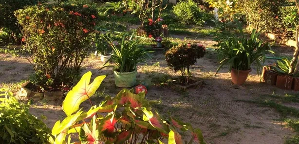 Fazenda / Sítio / Chácara com 2 Quartos à venda, 39000m² no Pecém, São Gonçalo do Amarante
