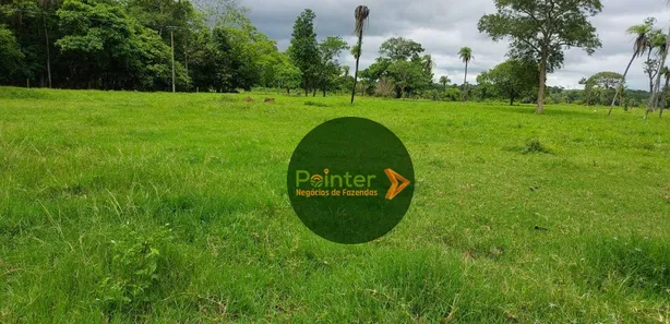 Fazenda / Sítio / Chácara com 3 Quartos à venda, 25748800m² no Parque Residencial Nova Fronteira, Gurupi