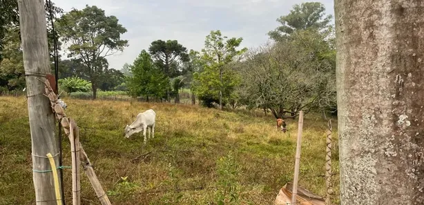 Fazenda / Sítio / Chácara com 2 Quartos à venda, 500m² no Centro (Tupi), Piracicaba