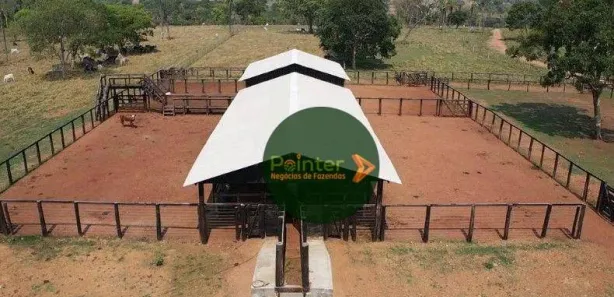 Fazenda / Sítio / Chácara à venda, 5320000m² no Área Rural de Gurupi, Gurupi