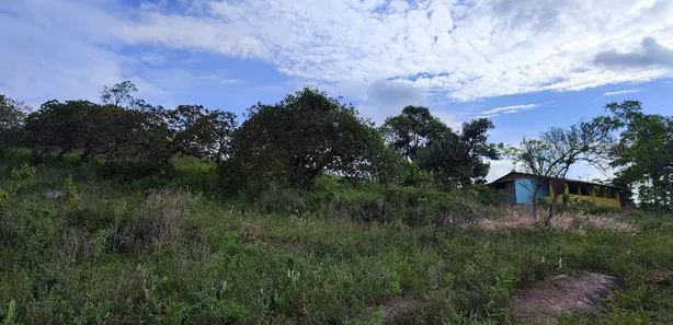 Fazenda / Sítio / Chácara com 3 Quartos à venda, 90000m² no Alpes Suiços, Gravatá