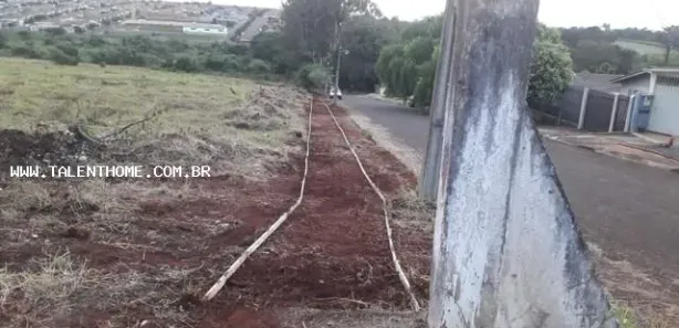 Terreno / Lote / Condomínio à venda no Planalto, Arapiraca