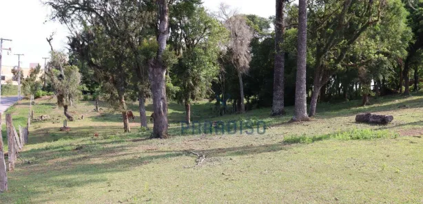 Terreno / Lote / Condomínio para venda ou aluguel, 2100m² no Colônia Rio Grande, São José dos Pinhais