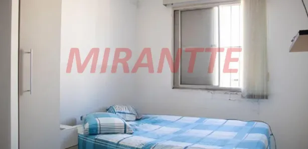 Apartamento com 2 Quartos à venda, 50m² no Vila Albertina, São Paulo
