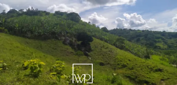Fazenda / Sítio / Chácara à venda, 25000m² no , Bananeiras