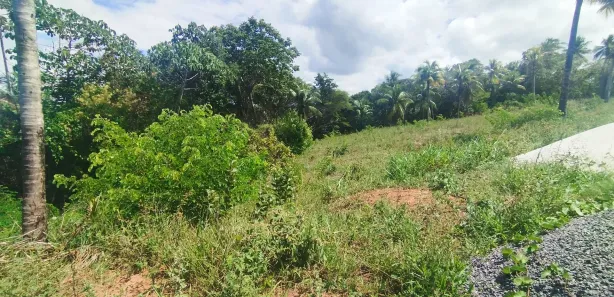 Terreno / Lote / Condomínio à venda, 500m² no Barra do Pojuca (Monte Gordo), Camaçari