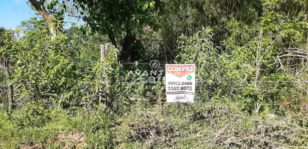 Terreno / Lote / Condomínio à venda, 588m² no Boi Morto, Santa Maria