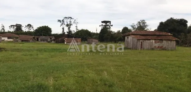 Terreno / Lote / Condomínio para alugar, 2000m² no Quississana, São José dos Pinhais