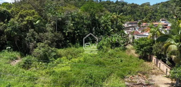 Terreno / Lote / Condomínio com 1 Quarto à venda, 3728m² no Centro, Massaranduba
