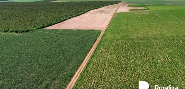 Fazenda / Sítio / Chácara à venda, 755m² no , Pedro Afonso