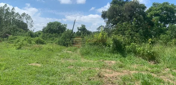 Fazenda / Sítio / Chácara com 1 Quarto à venda, 24200m² no Vila Menino Jesus, Caçapava