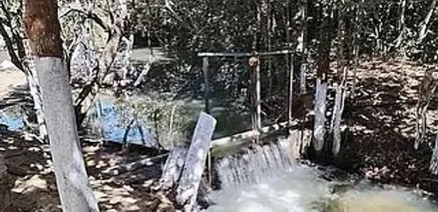 Fazenda / Sítio / Chácara à venda, 4000m² no , Padre Bernardo