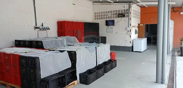 Prédio Inteiro com 3 Quartos à venda, 900m² no , Ipojuca