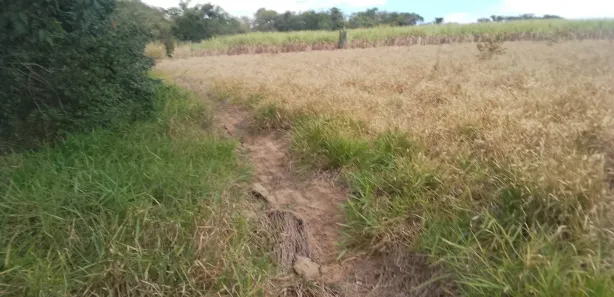 Fazenda / Sítio / Chácara à venda, 48m² no Jardim Flórido, Capivari