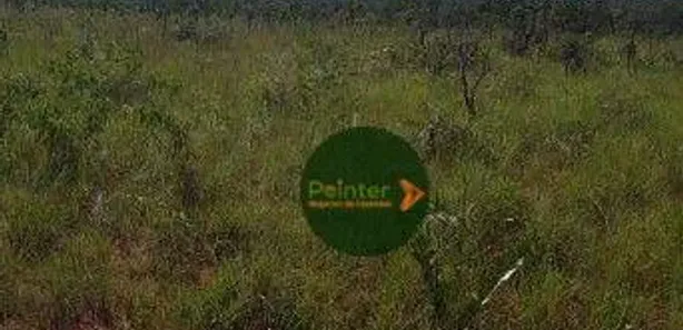 Fazenda / Sítio / Chácara à venda, 5907825m² no , Ponte Alta do Tocantins
