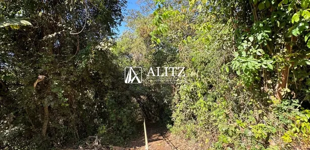 Fazenda / Sítio / Chácara com 4 Quartos à venda, 20000m² no , Nerópolis