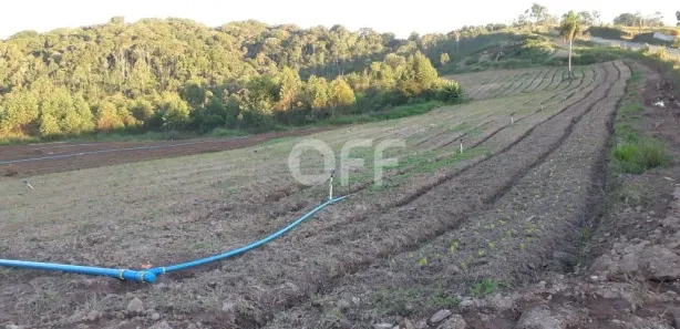 Fazenda / Sítio / Chácara com 1 Quarto à venda, 250m² no Ibiúna, Ibiúna