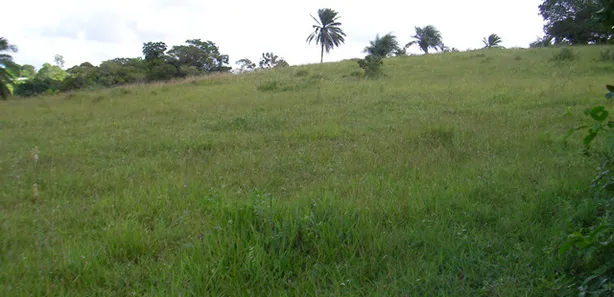 Terreno / Lote / Condomínio à venda, 291666m² no , Simões Filho