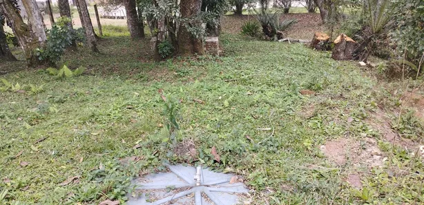 Fazenda / Sítio / Chácara com 2 Quartos à venda, 70m² no Tatetos, São Bernardo do Campo