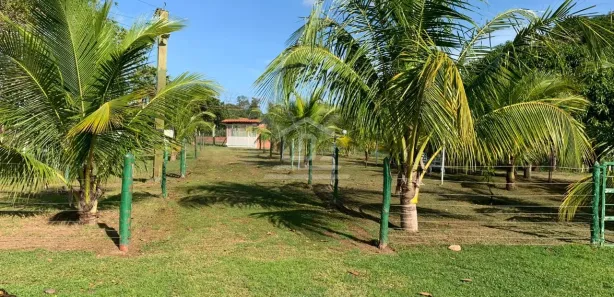 Casa com 2 Quartos à venda, 110000m² no Centro, Nazária