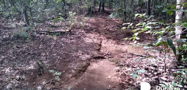 Fazenda / Sítio / Chácara à venda, 571m² no , Lagoa da Confusão