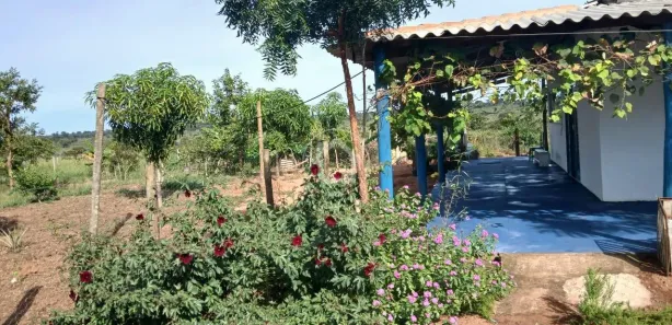 Fazenda / Sítio / Chácara com 1 Quarto à venda, 100m² no Área Rural de Campo Grande, Campo Grande