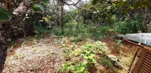 Fazenda / Sítio / Chácara à venda, 4500m² no , Brasília