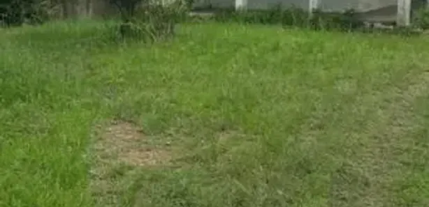 Fazenda / Sítio / Chácara com 4 Quartos à venda, 270000m² no Matriz, Vitória de Santo Antão