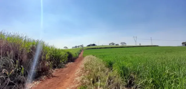 Terreno / Lote / Condomínio à venda, 5000m² no , Cravinhos