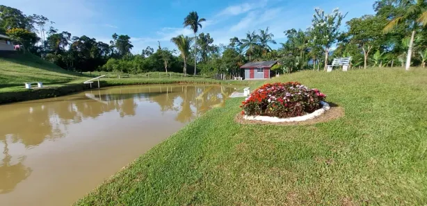 Fazenda / Sítio / Chácara com 3 Quartos à venda, 18000m² no , Antonina