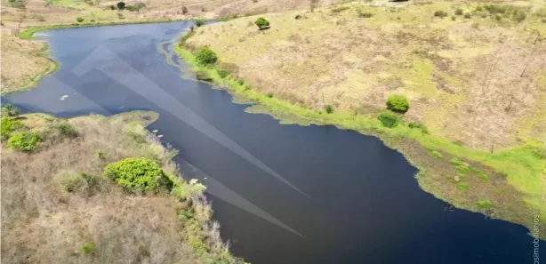 Fazenda / Sítio / Chácara à venda, 5900000m² no , Pombos