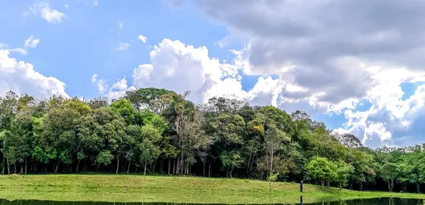 Fazenda / Sítio / Chácara com 3 Quartos à venda, 11000m² no Guajuvira, Araucária