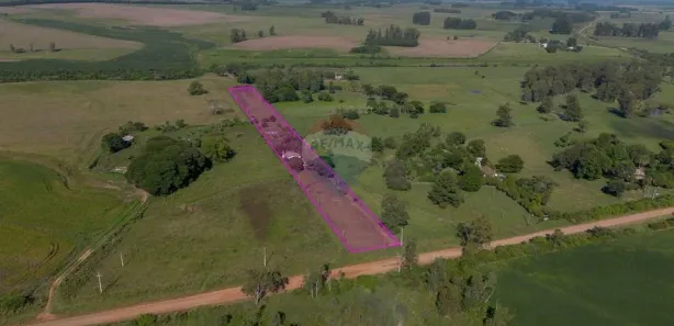 Fazenda / Sítio / Chácara com 2 Quartos à venda, 80m² no Boca do Monte, Santa Maria