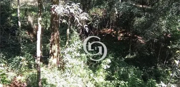 Fazenda / Sítio / Chácara com 2 Quartos à venda, 3000m² no São Salvador, Cascavel