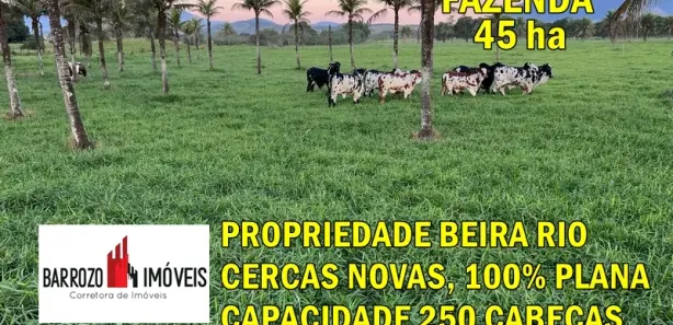 Fazenda / Sítio / Chácara com 3 Quartos à venda, 450000m² no Papucaia, Cachoeiras de Macacu
