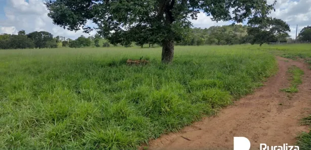 Fazenda / Sítio / Chácara à venda, 430m² no , Guaraí