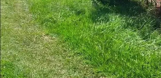 Fazenda / Sítio / Chácara com 4 Quartos para venda ou aluguel, 200m² no Chácaras Arco-Íris, Araçatuba