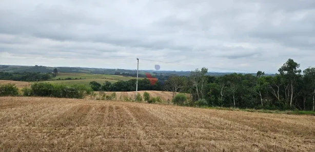 Fazenda / Sítio / Chácara à venda, 17000m² no Área Rural de Araucária, Araucária