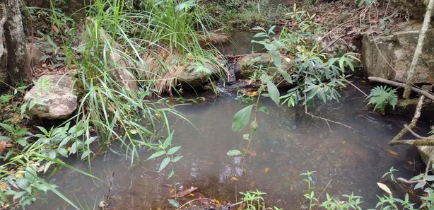 Terreno / Lote Comercial à venda, 20000m² no Zona Rural, Fortuna de Minas