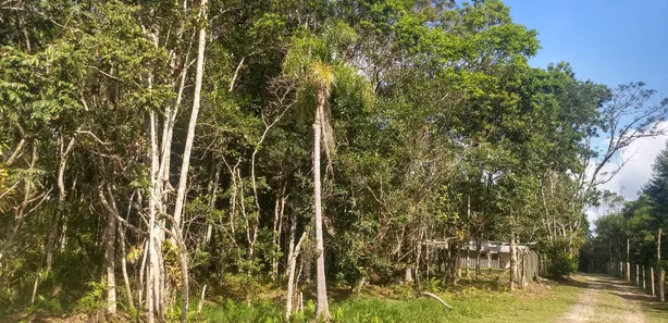 Terreno / Lote / Condomínio à venda, 1783m² no Vila da Gloria, São Francisco do Sul