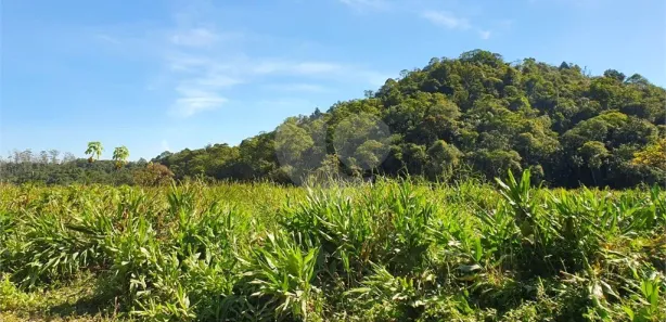 Terreno / Lote / Condomínio à venda, 623000m² no Vila Figueiredo, Rio Grande da Serra
