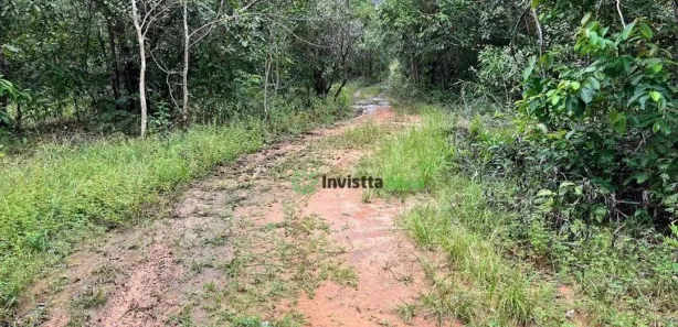 Fazenda / Sítio / Chácara com 1 Quarto à venda, 480m² no , Pedro Afonso