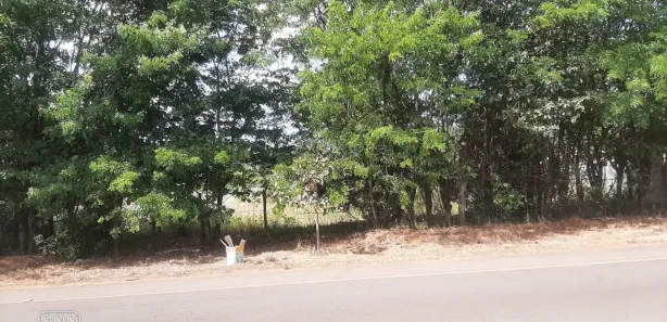 Fazenda / Sítio / Chácara à venda, 2500m² no Planaltina, Brasília