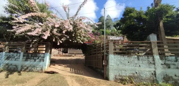 Fazenda / Sítio / Chácara com 2 Quartos à venda, 7000m² no Área Rural de Viçosa, Viçosa