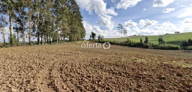 Fazenda / Sítio / Chácara à venda, 21917m² no , Contenda