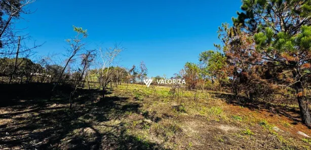 Fazenda / Sítio / Chácara com 3 Quartos à venda, 600m² no Chacara Santa Terezinha, Araçoiaba da Serra