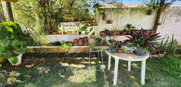 Fazenda / Sítio / Chácara com 4 Quartos à venda, 200m² no , Ipeúna