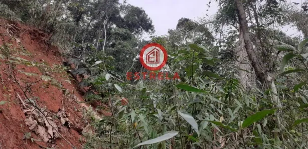 Terreno / Lote / Condomínio à venda, 1510m² no , Santa Branca